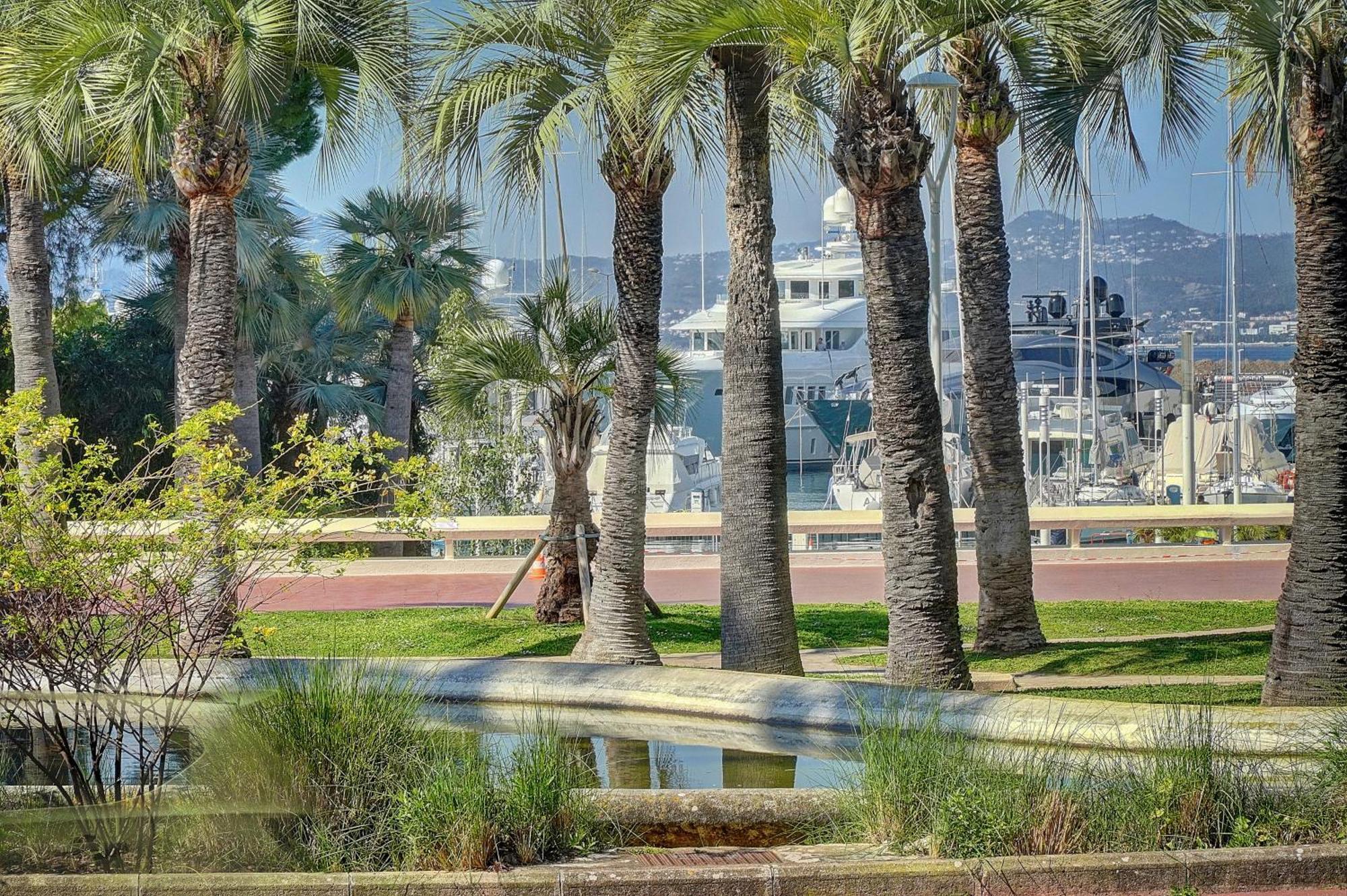 Le Palm - 100M Plage - Croisette - Verriere Cote D'Azur Cannes Esterno foto