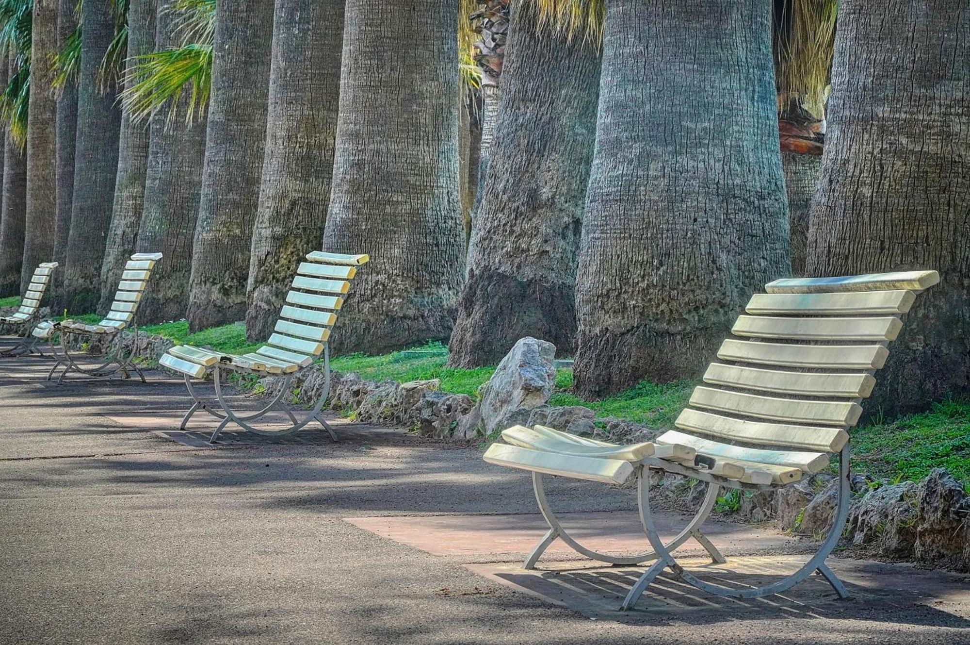 Le Palm - 100M Plage - Croisette - Verriere Cote D'Azur Cannes Esterno foto