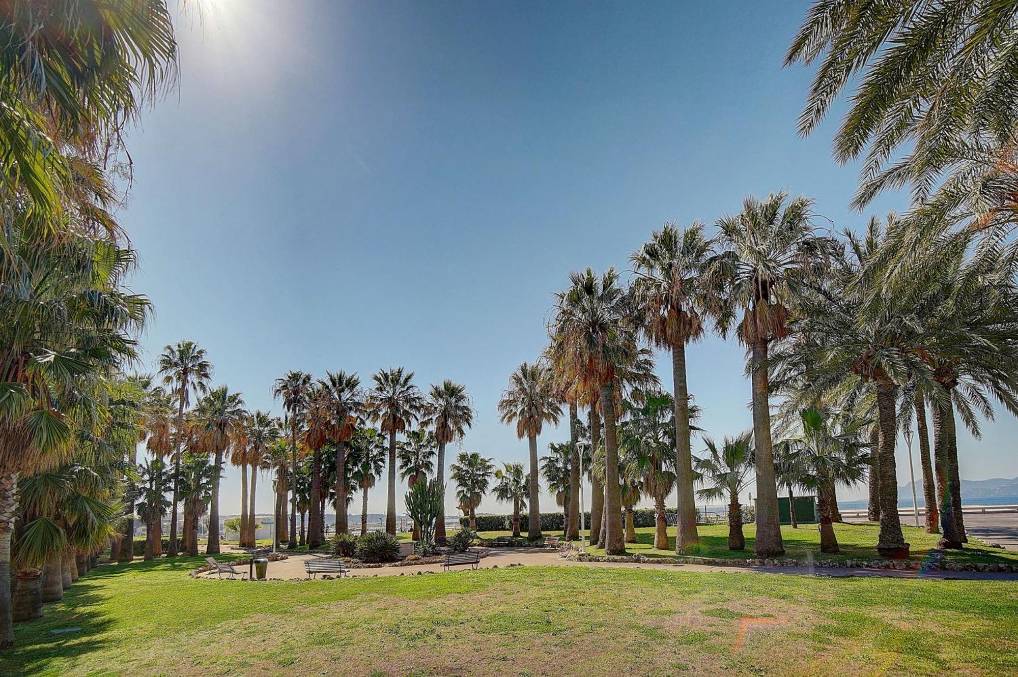 Le Palm - 100M Plage - Croisette - Verriere Cote D'Azur Cannes Esterno foto