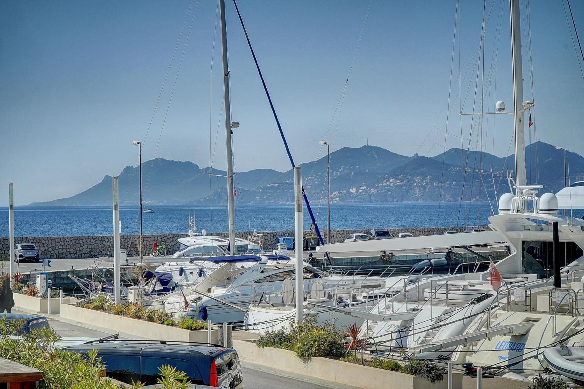 Le Palm - 100M Plage - Croisette - Verriere Cote D'Azur Cannes Esterno foto